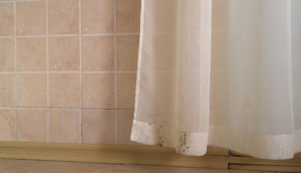 Best Real Estate Mold Inspection  in Cottage Grove, MN