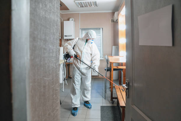 Biohazard Mold Removal in Cottage Grove, MN