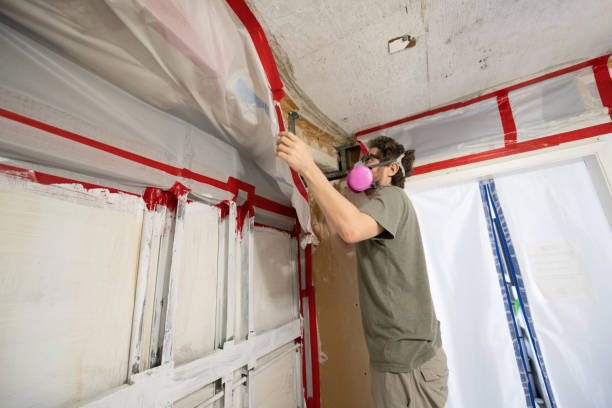 Best Mold Damage Restoration  in Cottage Grove, MN