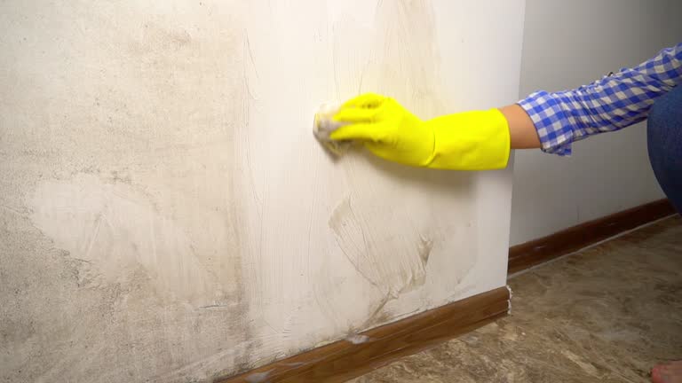 Dehumidification Services in Cottage Grove, MN