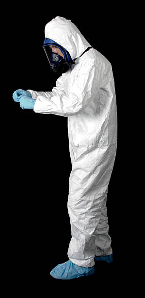 Best Basement Mold Removal  in Cottage Grove, MN