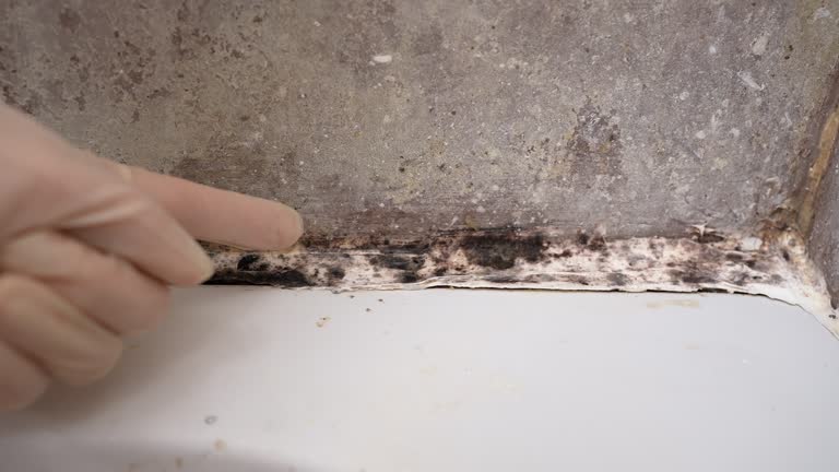 Asbestos and Lead Testing During Mold Inspection in Cottage Grove, MN